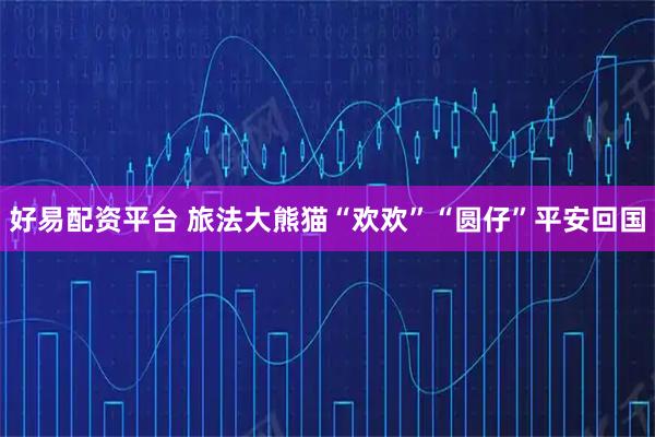 好易配资平台 旅法大熊猫“欢欢”“圆仔”平安回国
