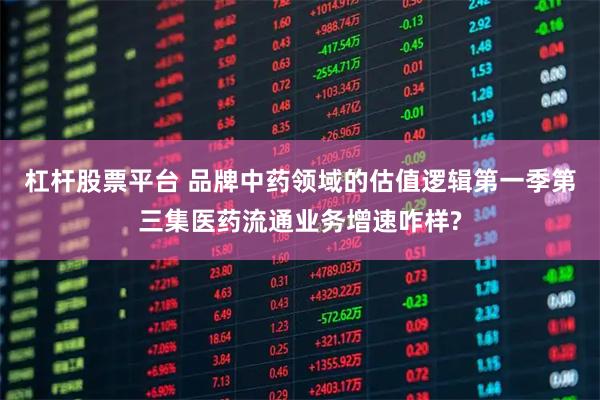 杠杆股票平台 品牌中药领域的估值逻辑第一季第三集医药流通业务增速咋样?