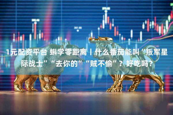 1元配资平台 蝌学零距离丨什么番茄能叫“叛军星际战士”“去你的”“贼不偷”？好吃吗？